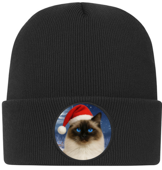 Zimní čepice Vánoční kočka Ragdoll